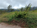 terrain à la vente